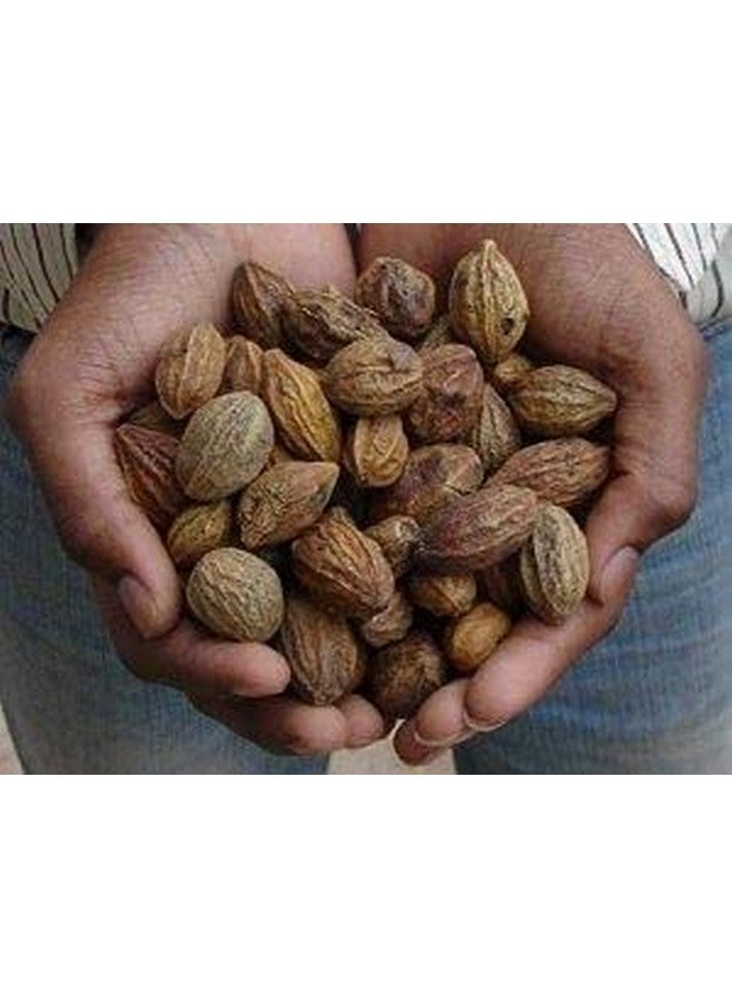 advancedestore بادى هاراد كامل - أرالو | إنكنوت | هاريتاكي | كادوكاي - هارار - تيرميناليا تشيبولا - كاراكيا حزمة 150 جرام (كامل) - Image 3