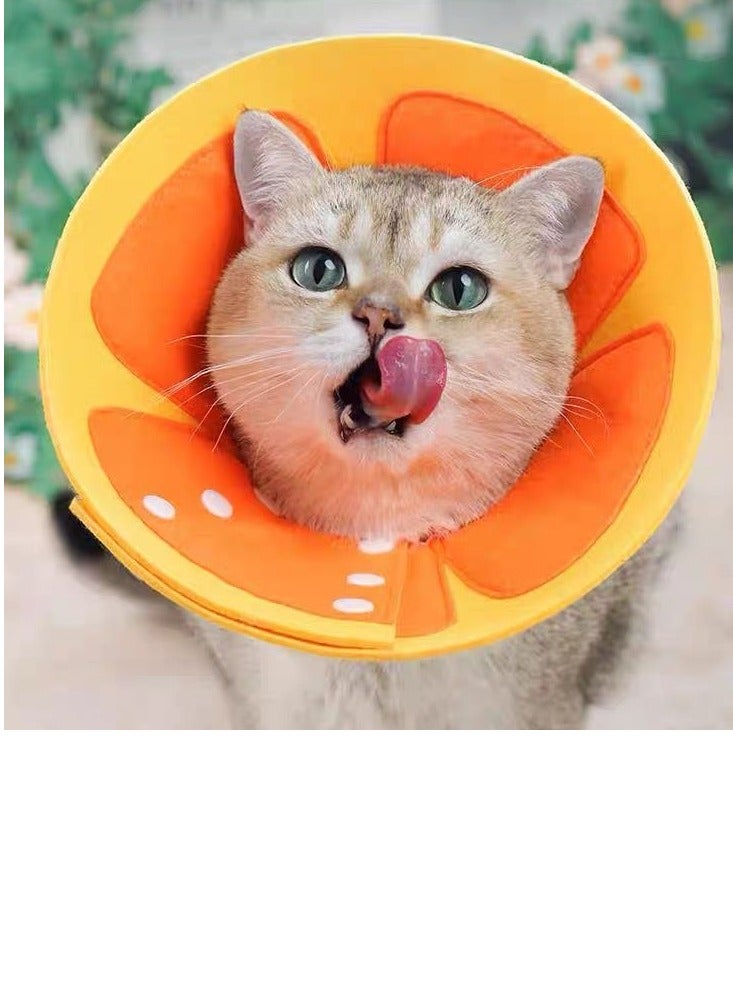 A.M Elizabethan recovery cone collar sweet Orange design,Gentle and Versatile Recovery Cone Collar for Small Dogs Puppies and Cats in Need of Comfortable Rest and Fast Healing - Image 1