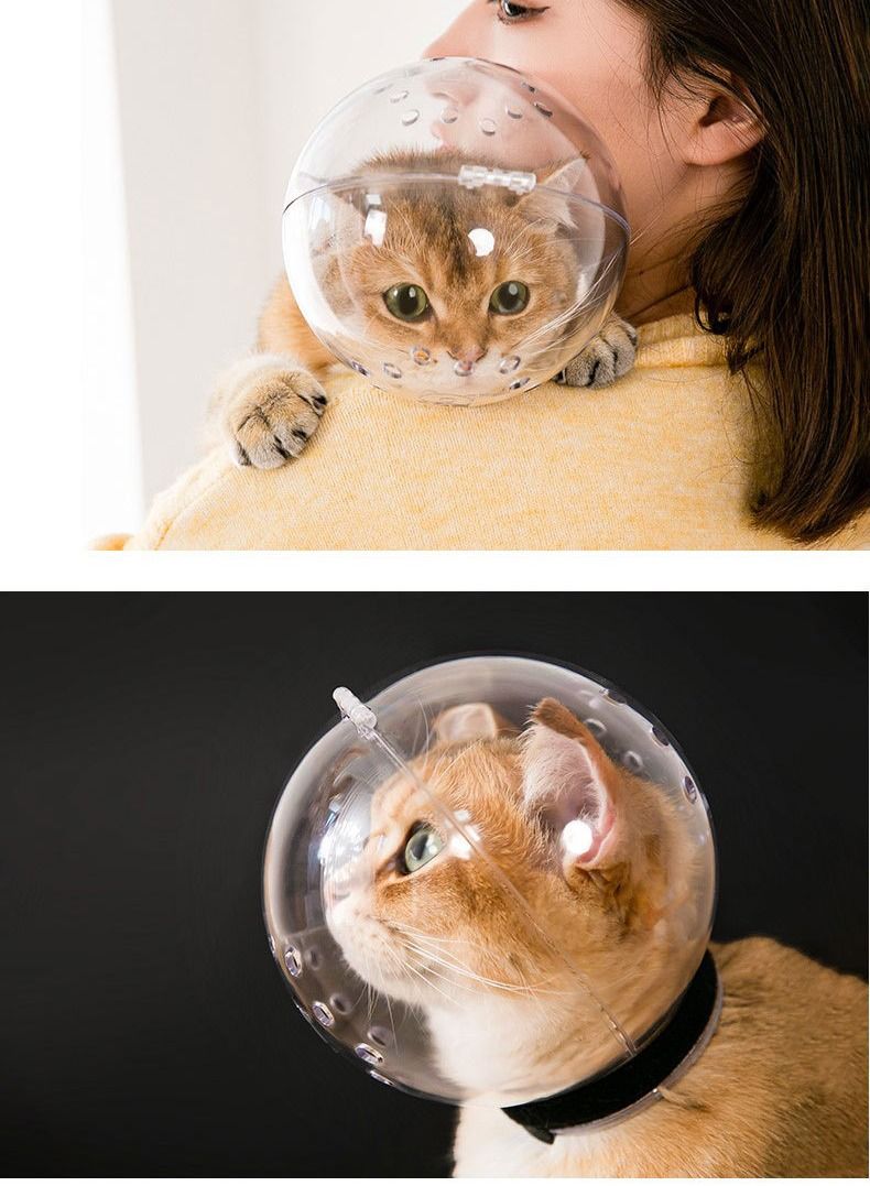 خوذة Altheqa القابلة للتنفس للقطط لمنع العض وغطاء العناية بالحيوانات الأليفة كمامة للقطط للاستحمام متوسطة الحجم - Image 3