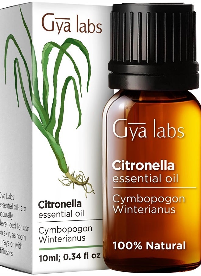 gya labs Citronella Oil for Candle Making - Natural Citronella Essential Oil for Diffuser, Skin, DIY & Aromatherapy - Natural Essential Oil Citronella for Skin (0.34 Fl Oz)  - Image 1