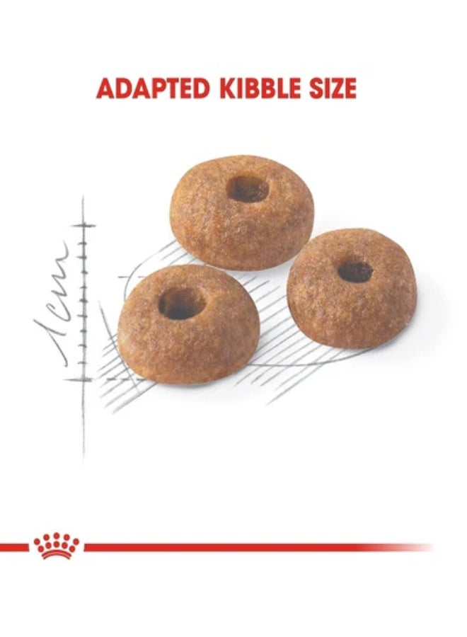 Royal Canin Feline Health Nutrition Regular Fit 32 Adult Cat Food, 10kg - Image 3