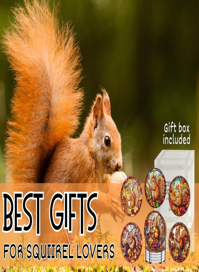 Onebttl Squirrel Gifts for Women, Squirrel Gifts for Sqirrel Lover Merch Coaster, Set of 6, Ceramic, Absorbent with Cork Base - Image 3