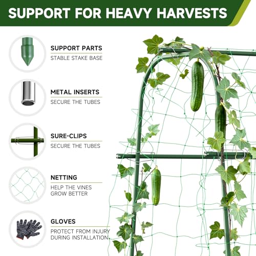 HIRALIY Cucumber Trellis for Climbing Plants Outdoor, 5.25ft Tall Heavy Duty Metal Garden Arch Trellis, Rustproof Plant Support Tunnel for Tomato, Grape, Bean, Raised Bed and Vegetable Gardens, Green - Image 5