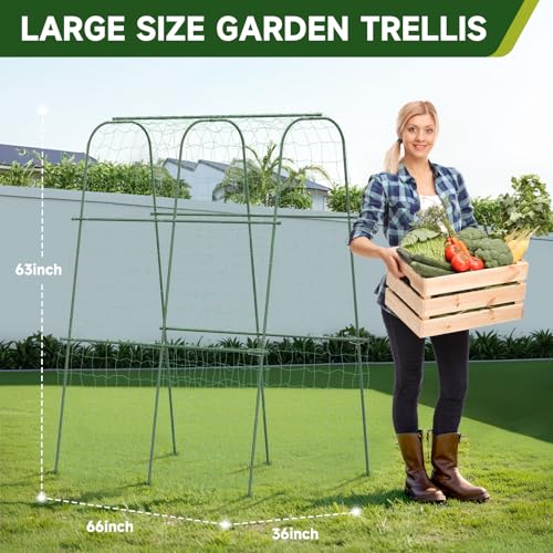HIRALIY Cucumber Trellis for Climbing Plants Outdoor, 5.25ft Tall Heavy Duty Metal Garden Arch Trellis, Rustproof Plant Support Tunnel for Tomato, Grape, Bean, Raised Bed and Vegetable Gardens, Green - Image 2