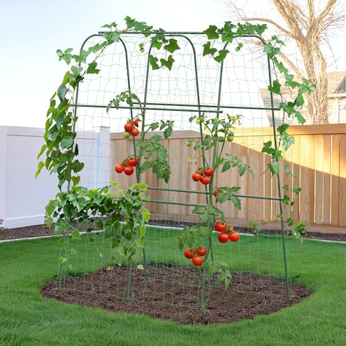 HIRALIY Cucumber Trellis for Climbing Plants Outdoor, 5.25ft Tall Heavy Duty Metal Garden Arch Trellis, Rustproof Plant Support Tunnel for Tomato, Grape, Bean, Raised Bed and Vegetable Gardens, Green - Image 1