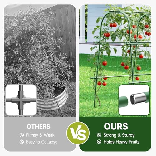 HIRALIY Cucumber Trellis for Climbing Plants Outdoor, 5.25ft Tall Heavy Duty Metal Garden Arch Trellis, Rustproof Plant Support Tunnel for Tomato, Grape, Bean, Raised Bed and Vegetable Gardens, Green - Image 4
