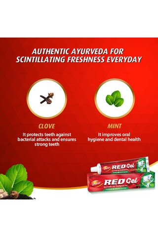 Red Gel Ayurvedic Toothpaste  Value Pack - view 4