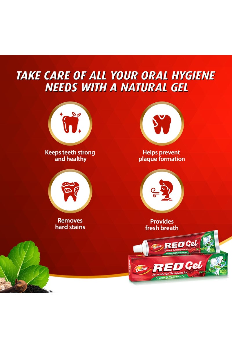 Dabur معجون الأسنان الأحمر الجل الأيورفيدي - عبوة قيمة - Image 3