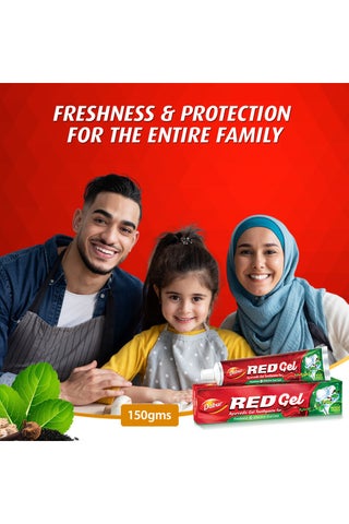 Red Gel Ayurvedic Toothpaste  Value Pack - view 2