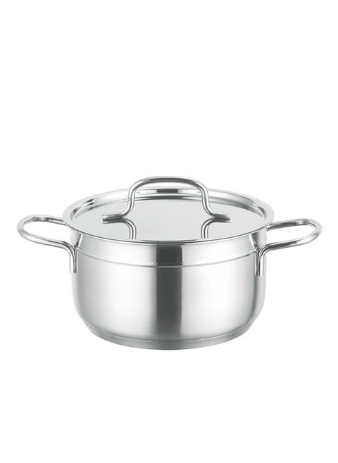 Alpha Stainless Steel Cooking Pot 28CM Silver With 5 Induction Layers Bottom