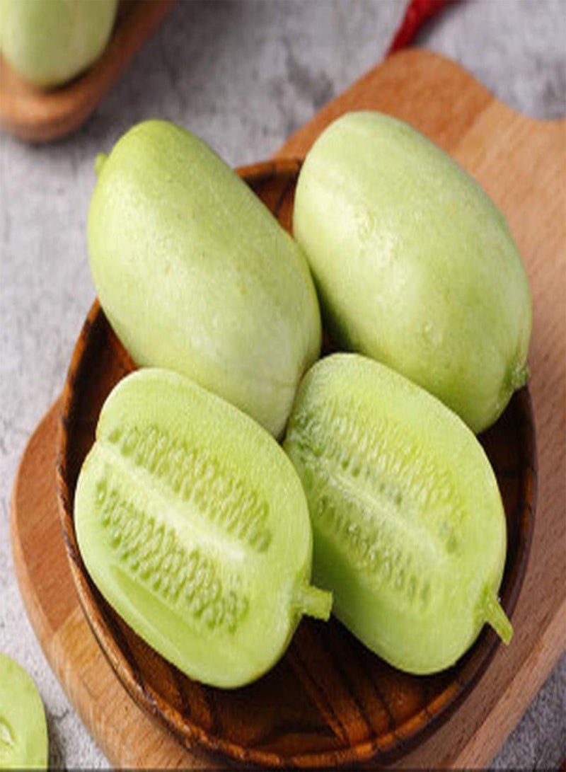 GGOOT 50Pcs Cucumber Seeds Smooth Skin Fragrant Taste Nutrient-Rich Vegetable Seeds for Home Garden Planting Low Maintenance High Production - Image 1
