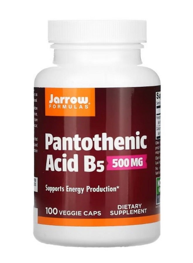 jarrow formulas Pantothenic Acid B5 500 mg 100 Veggie Caps - Image 1