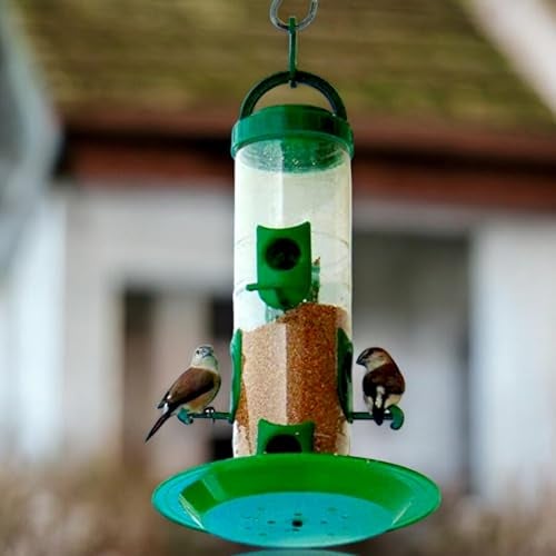 SpikeZone Hanging Food Feeder for Outdoor & Garden, Large Bird Feeder for Balcony | 900 Capacity I Premium Hard Plastic Weatherproof (Pack of 1 Pcs) (1) - Image 2