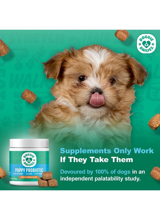 Doggie Dailies Doggie Dailies Puppy Probiotic, Probiotics for Puppies with Digestive Enzymes, Promotes Digestive Health, Supports Immune System & Overall Development (Pumpkin) 120 Soft Chews  - Image 2
