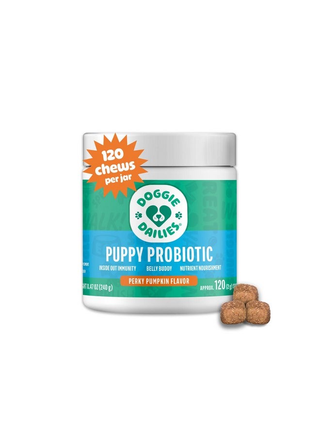 Doggie Dailies Doggie Dailies Puppy Probiotic, Probiotics for Puppies with Digestive Enzymes, Promotes Digestive Health, Supports Immune System & Overall Development (Pumpkin) 120 Soft Chews  - Image 1