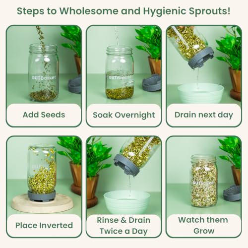 Gutbasket Sprouting Kit | Includes 2 Glass Sprout Jars (700 ml Each) with Sprouting Lids + Organic Seed Mix | Sprout Maker for Moong, Methi, Chana, Alfalfa, Radish | Sprout Jar with Guide - Image 4