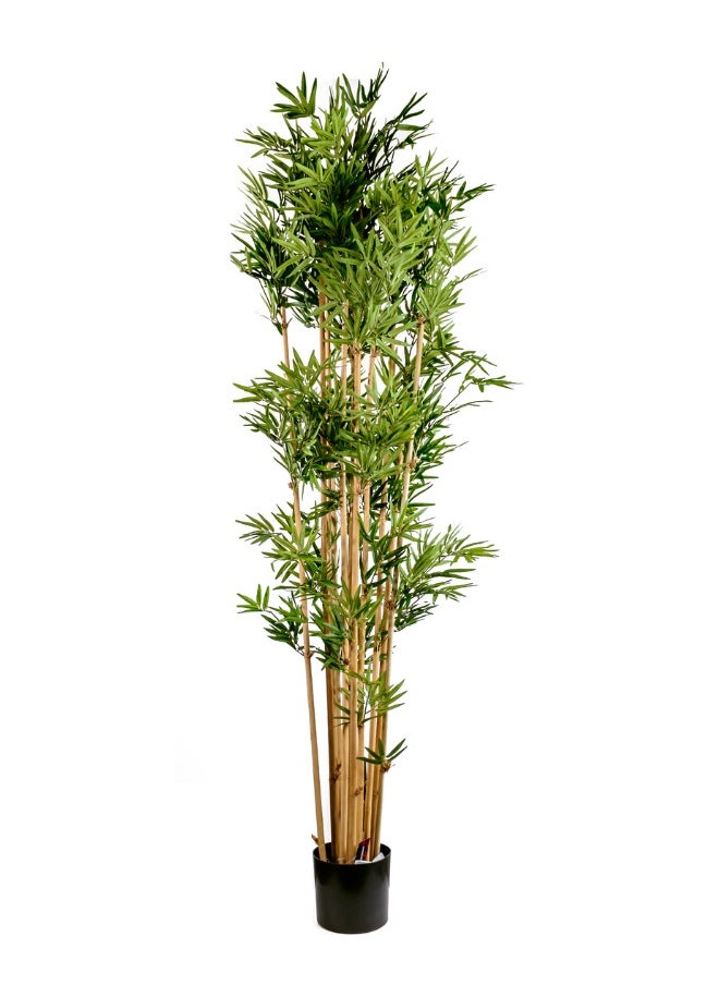Gulf Flowers Artificial Japanese Bamboo Tree with real trunk