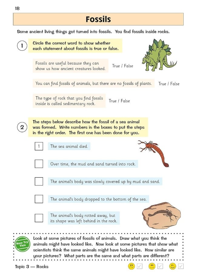 Coordination Group Publications Ltd (CGP) KS2 Science Year 3 Targeted Question Book (includes answers) Year 3 Science)  - Image 4