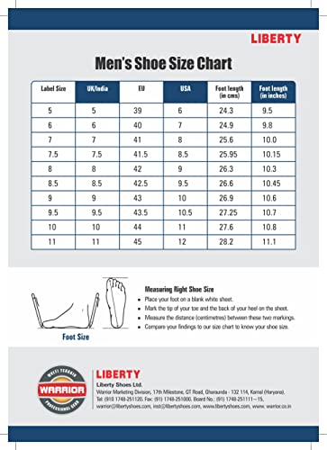 Liberty Warrior 98-254 SSBA Safety Shoe for Men, Genuine Leather, Steel Toe, Light Weight, Grey, Size-10UK - Image 2