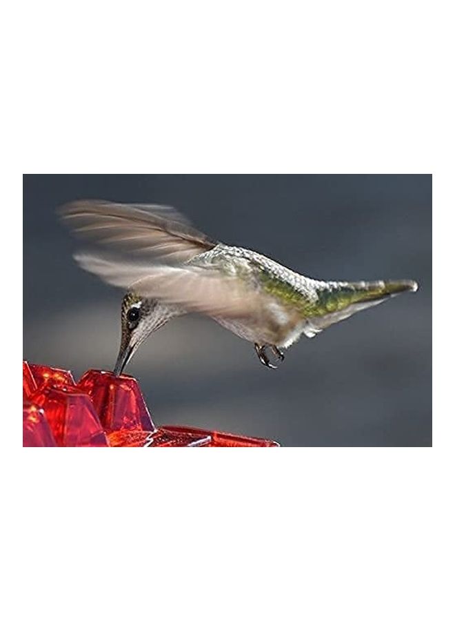 NIBEMINENT Hummingbird Feeder with Hanging Hook Multicolour - Image 5