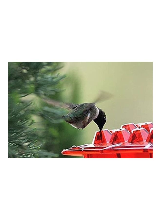 NIBEMINENT Hummingbird Feeder with Hanging Hook Multicolour - Image 3