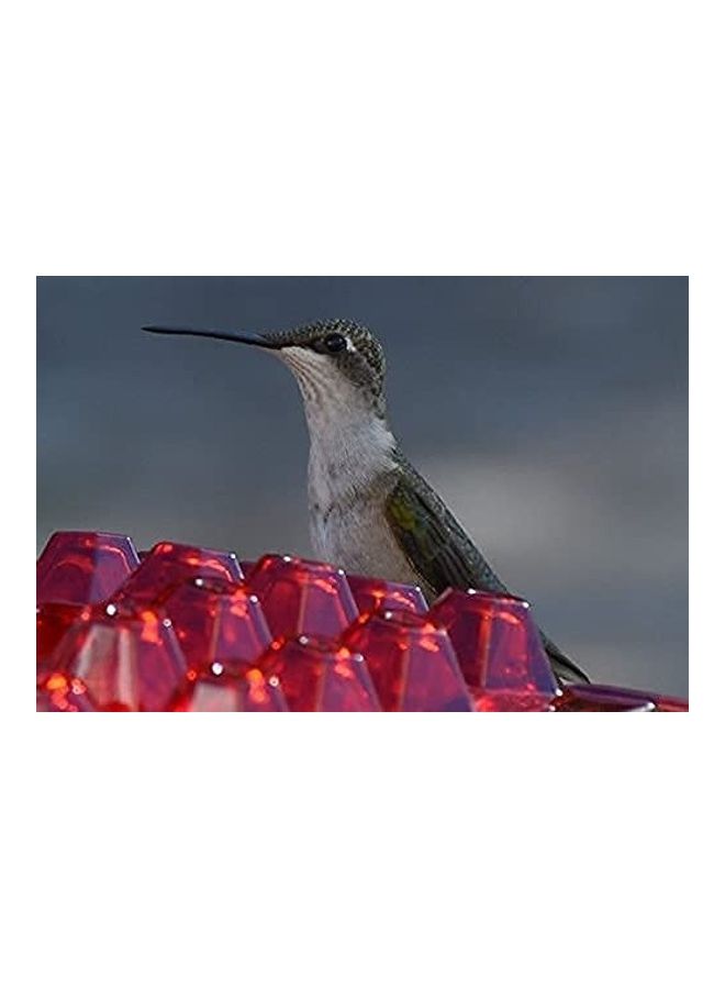 NIBEMINENT Hummingbird Feeder with Hanging Hook Multicolour - Image 4