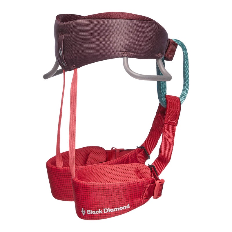 Black Diamond Momentum Childrens Kid'S Climbing Harness  Wild Rose - Image 3