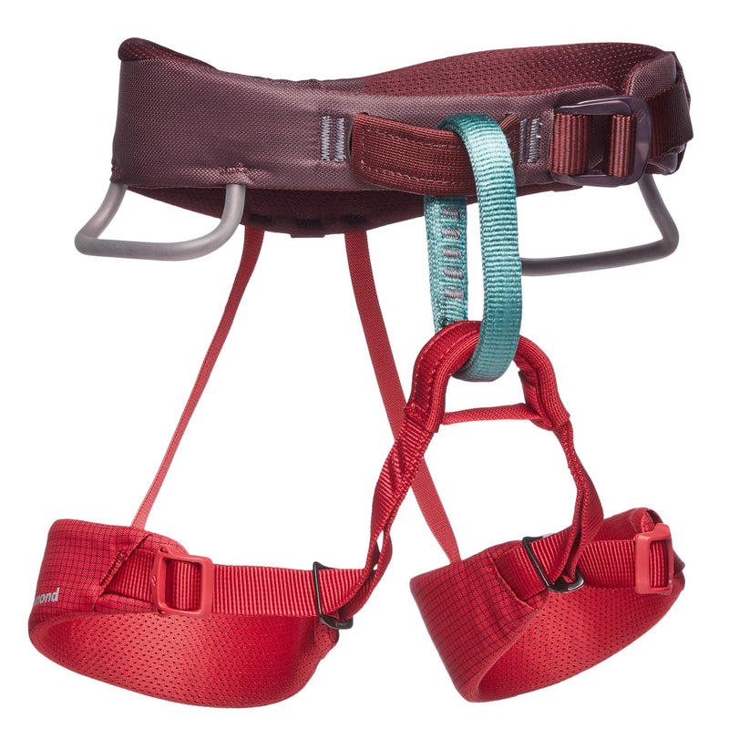 Black Diamond Momentum Childrens Kid'S Climbing Harness  Wild Rose - Image 1