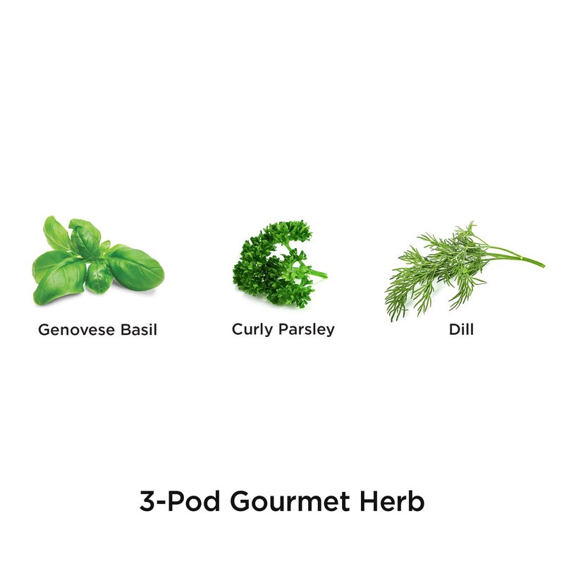 AeroGarden Gourmet Herb Seed pod Kit - Herb Seeds for AeroGarden Indoor Garden, 3-Pod - Image 2