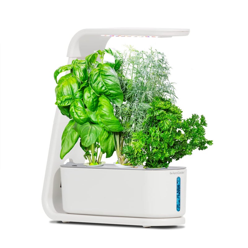 AeroGarden Gourmet Herb Seed pod Kit - Herb Seeds for AeroGarden Indoor Garden, 3-Pod - Image 5