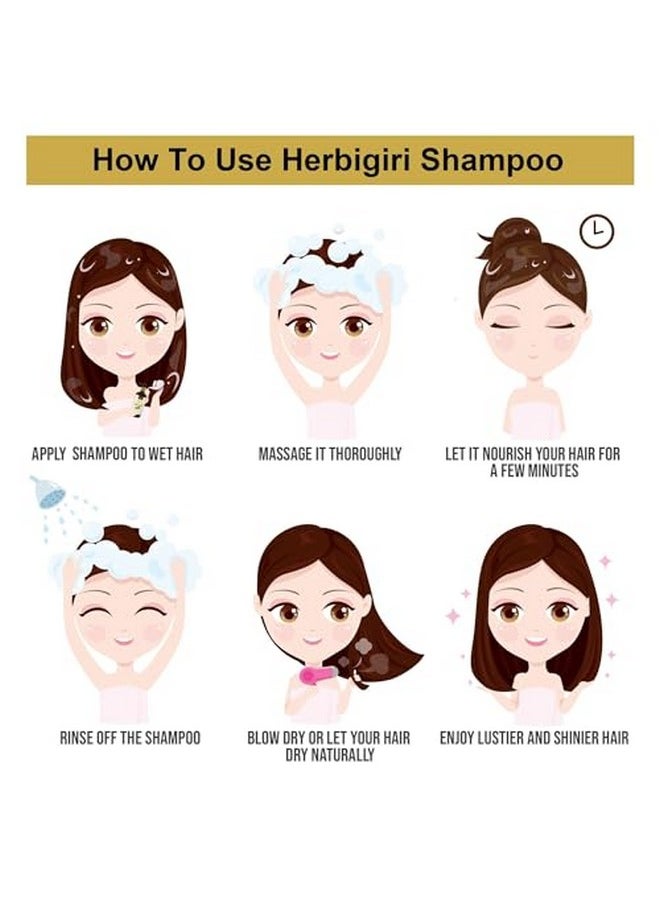 Khadi Herbal - Herbigiri Herbal Amla And Bhringraj Shampoo Strengthens Hair Parabens Free Silicon Free Herbigiri Herbal Shampoo (840 Ml) (Pack Of 4) - Image 1
