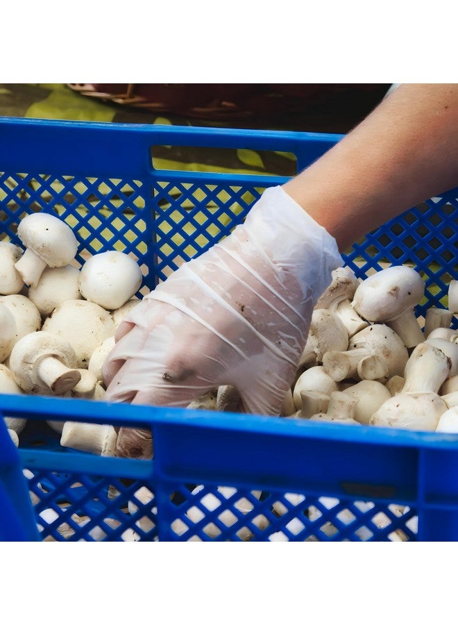 Safeguard unisex adult Latex Gloves, Box, Medium ,100 Count (Pack of 1) - Image 3