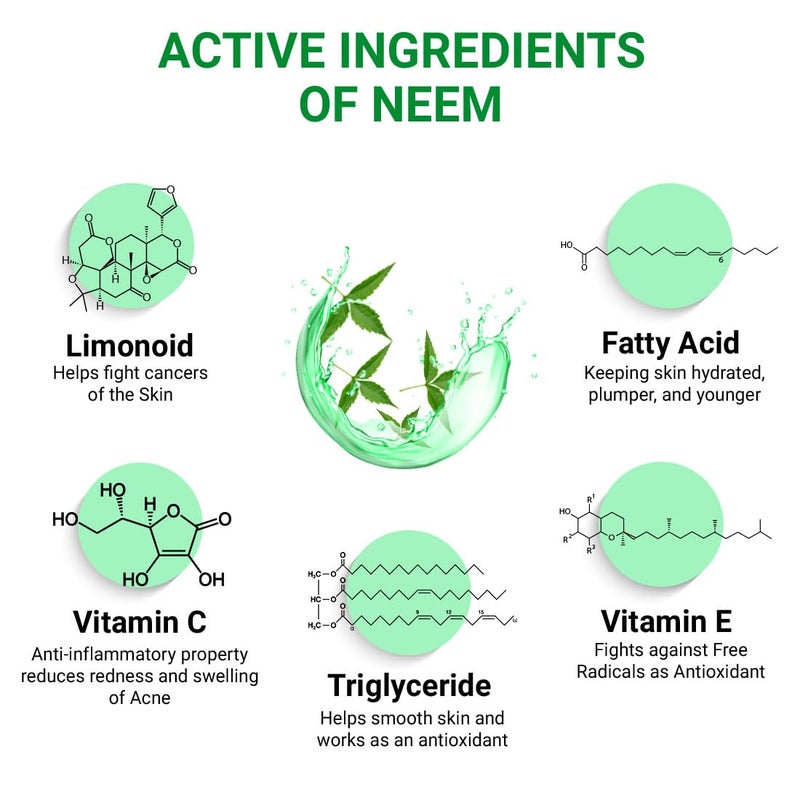 KEYA SETH AROMATHERAPY, DEVICE OF DROP Keya Seth Aromatherapy Neem Gel Moisturizer For Oily Sensitive Skin Prevents Acne Pimple Rashes Skin Allergies Skin Eruption with Pure Neem Extract 190gm  - Image 3