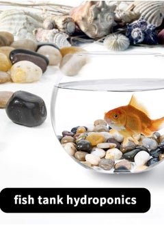 Vparty Decorative Pebbles, Natural Small Polished Mixed Stones Gravel for Plant Aquariums, Flowerpot, Landscaping, Ponds,Terrariums Vase Fillers, DIY, Home Garden Decoration(Approx.0.5-1.2 inch) 10kg  - Image 3