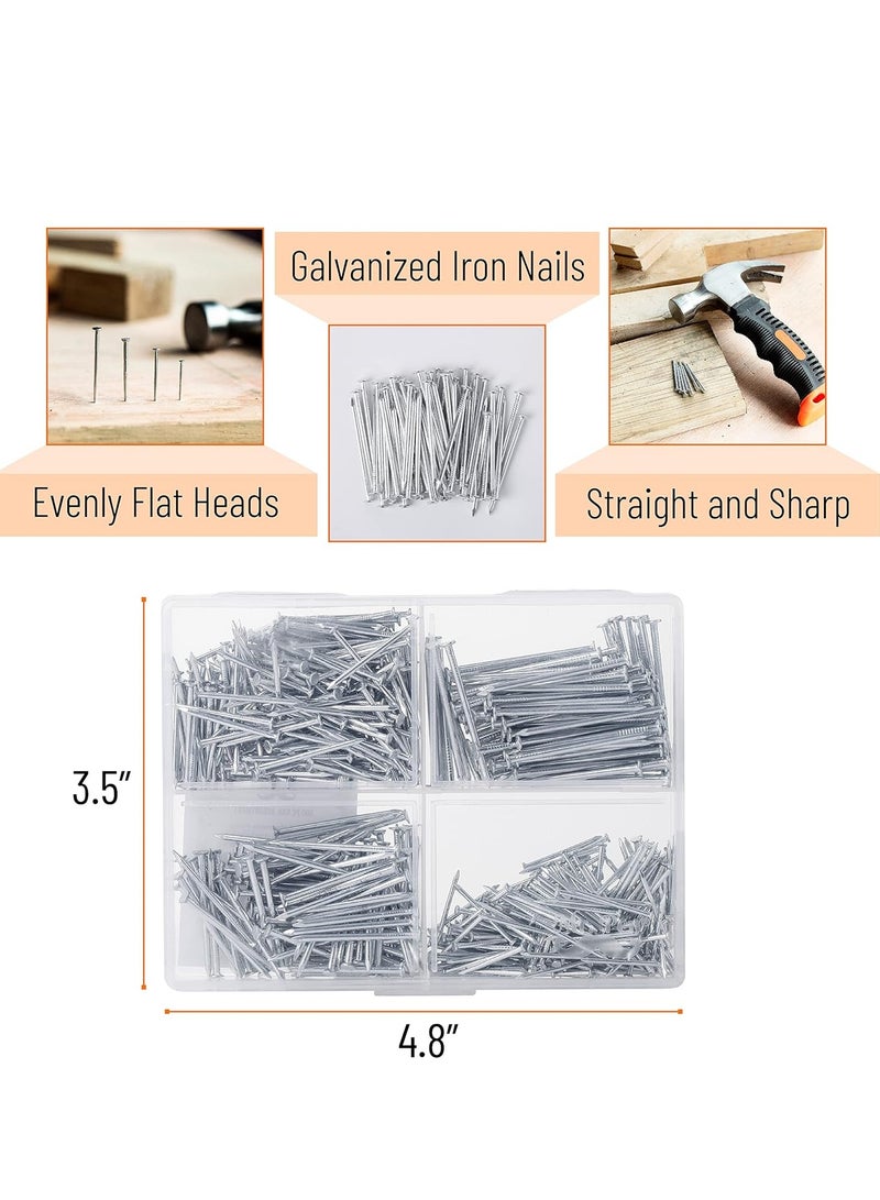 Nail Assortment Kit, 600 Pcs, 4 Sizes, Silver, Small Nails for Hanging Pictures, Finishing Nails, Gold Wall Nails for Hanging, Pin Nails, Hardware Nails, Assorted Nails, Galvanized Nails - Image 3