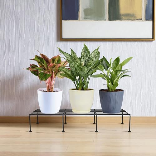 Nurturing Green® Pack of 2 Metal Plant Stands for Home, Balcony, Outdoor | Black Pot Stands for Flower, Planters, Vases | 24 Inch Long & 8.5 Inch Wide | Perfect for Living Room & Garden - Image 5