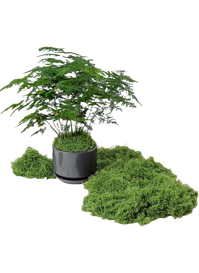 YIM-VIBEHAUS 100g Moss Grass Perfectly Simulates Artificial Moss Fake Green Grass for Centerpieces Home Kitchen Garden Decor Preserved Forest Moss  - Image 1