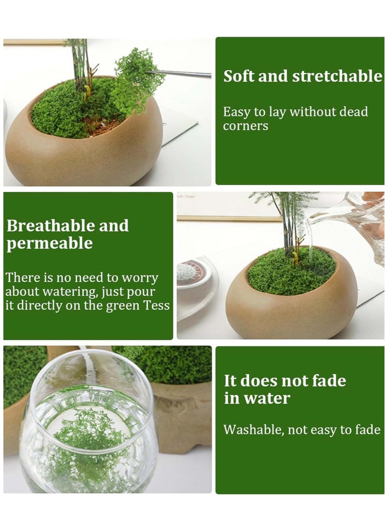 YIM-VIBEHAUS 100g Moss Grass Perfectly Simulates Artificial Moss Fake Green Grass for Centerpieces Home Kitchen Garden Decor Preserved Forest Moss  - Image 2