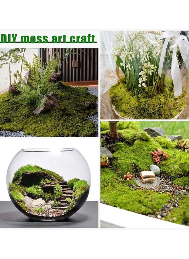 YIM-VIBEHAUS 100g Moss Grass Perfectly Simulates Artificial Moss Fake Green Grass for Centerpieces Home Kitchen Garden Decor Preserved Forest Moss  - Image 4