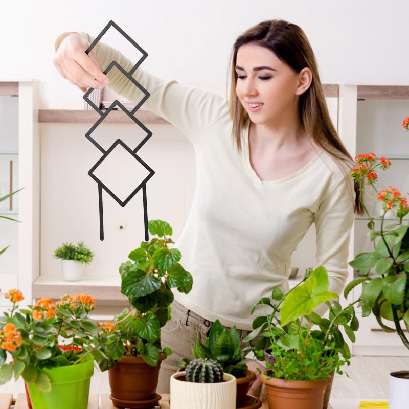 KOYILTD 4 Pcs Trellises for Climbing Plants Indoor Metal Climbing Plant Support Metal Plant Trellis for Pots Garden Trellis for Climbing Plants for Plant Lovers (Style 1) - Image 5