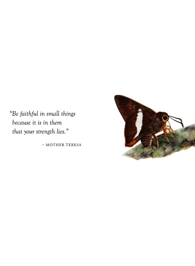 Luxe Nature - Butterflies: Luxe Nature - Image 3