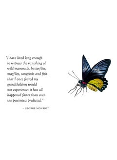 Luxe Nature - Butterflies: Luxe Nature  - Image 3