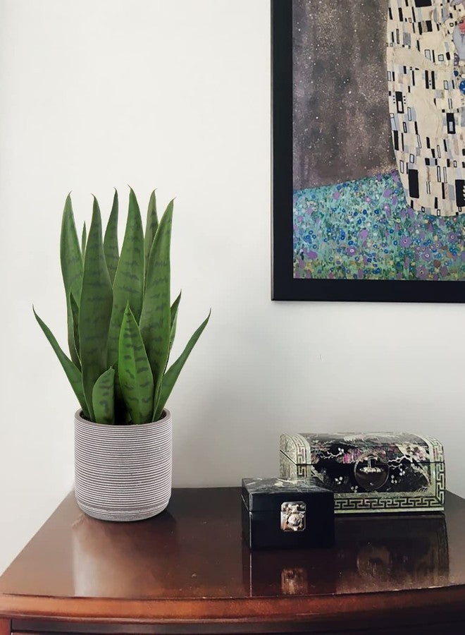 Briful Fake Snake Plant 16" Faux Potted Plant Artificial Snake Plant with Cement Pot Sansevieria Plant Perfect for House Modern Living Room Office Housewarming Gift Indoor Decor - Image 3