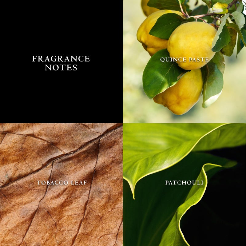 John Varvatos Men's Cologne, Vintage Eau de Toilette EDT Spray, Aromatic Chypre Scent with Notes of Quince Paste, Patchouli & Tobacco Leaf, 4.2 fl oz - Image 2