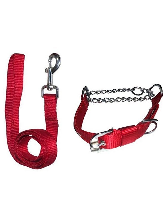 طوق نصف سلسلة من النايلون للحيوانات الأليفة - طوق قابل للتعديل ومجموعة مقود من النايلون العاكس القوي، سلسلة معدنية آمنة للكلاب