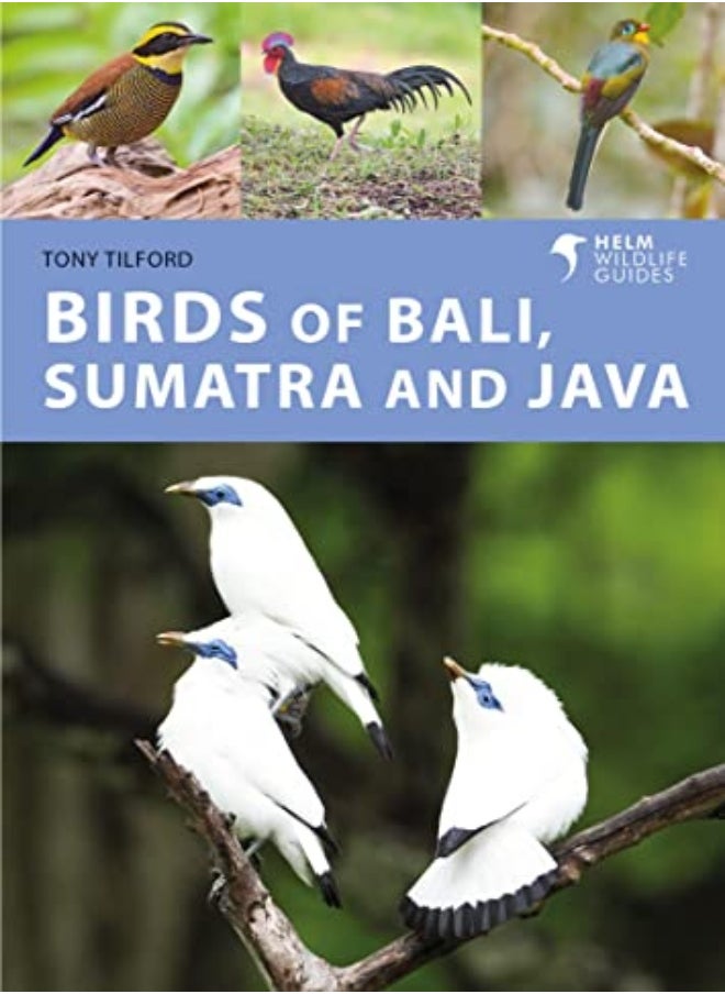 null - Birds of Bali, Sumatra and Java - Image 1