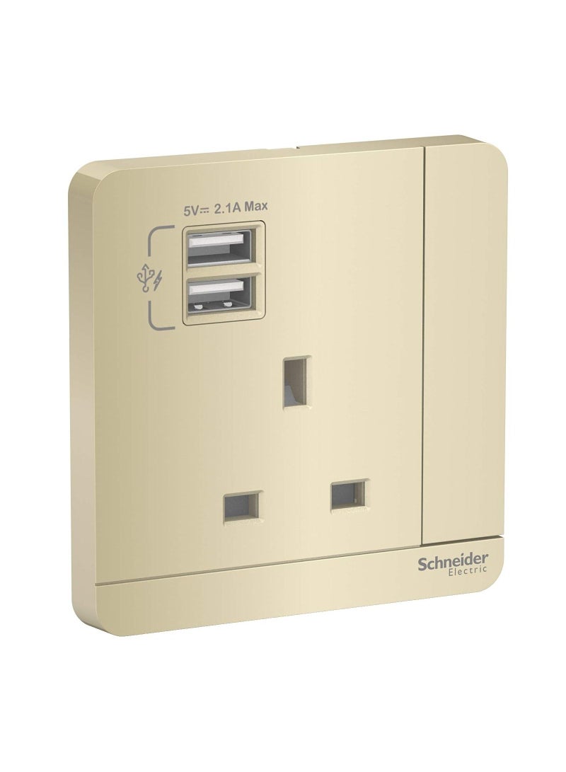 RACO Schneider Electric E8315USB_WG_G12 AvatarOn Gold - Image 1