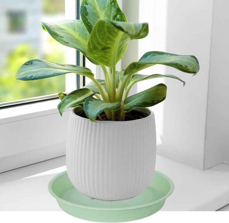 Bleuhome 2 Pack of 8 inch Plant Saucer Clear, Heavy Duty Plastic Plant Water Tray 8 inch Round, Flower Plant Saucers for Indoors No Holes, Plant Dishes Saucer for Planter 7"/8" (8", Light Green) - Image 4