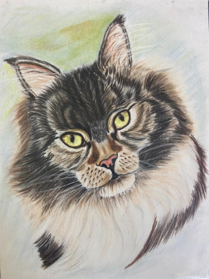 Generic cat handmade pastel pencil drawing with frame This is not a print Size and color may vary Size without frame 22cm x 17cm 
