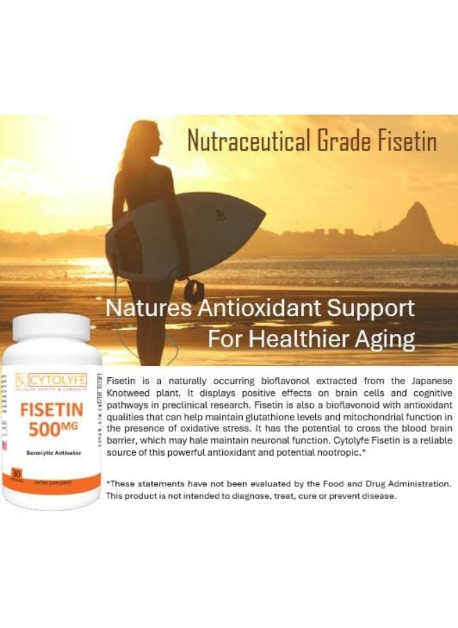 CYTOLYFE Fisetin 500Mg 98% Pure Fisetin 500Mg Therapeutic Dose 30 Capsules Senolytic Activator Anti-Aging Longevity  - Image 2